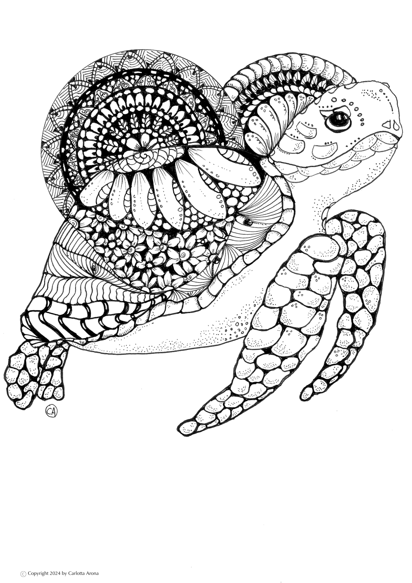 Hand-drawn Digital Colouring Page | Turtle Mandala | (Downloadable PDF)