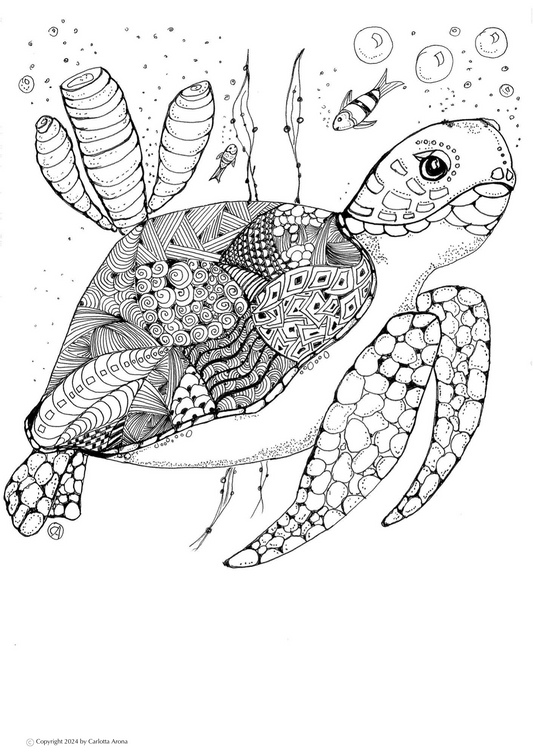 Hand-drawn Digital Colouring Page | Turtle with Corals | (Downloadable PDF)